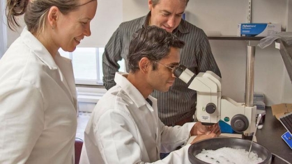 Irvine Lab