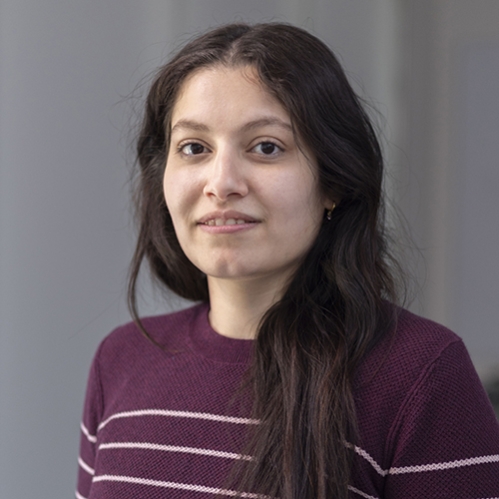 Photo of Naureen Hameed