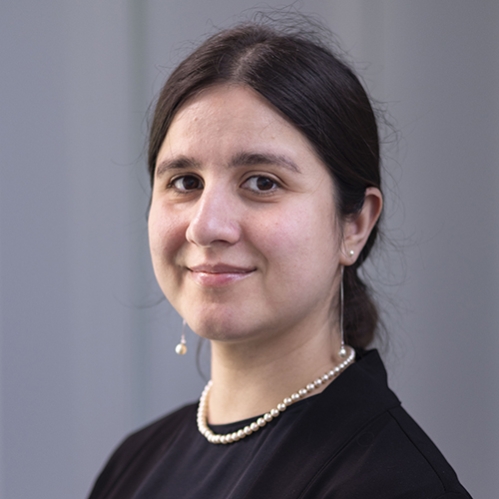 Photo of Faye Nourollahi