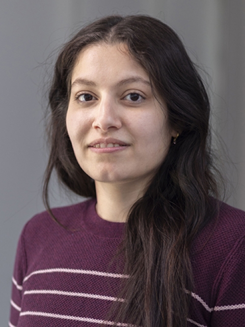 Photo of Naureen Hameed