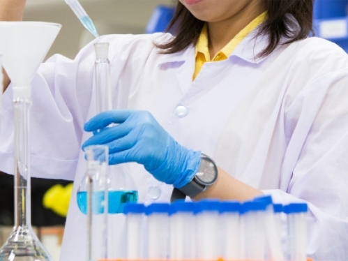 Waksman Research Fellowships