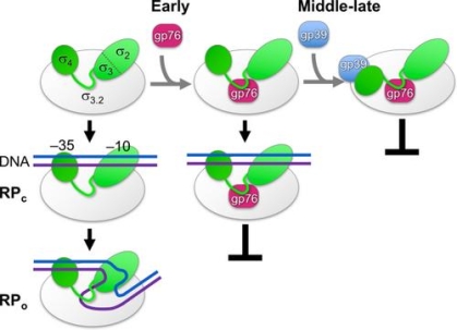 mechanism